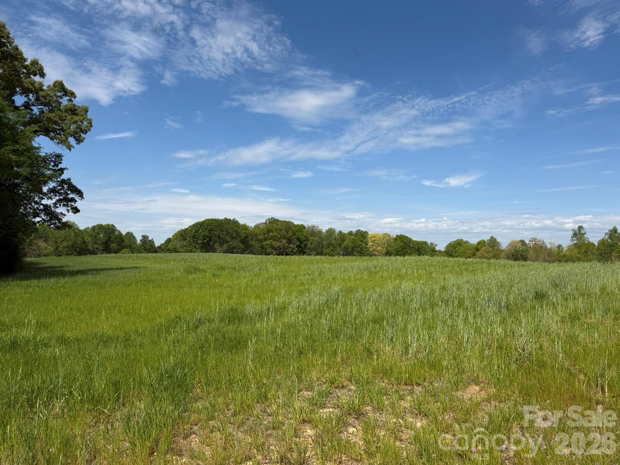 0 Powell Road Harmony, NC 28634 - Photo 9 of 23