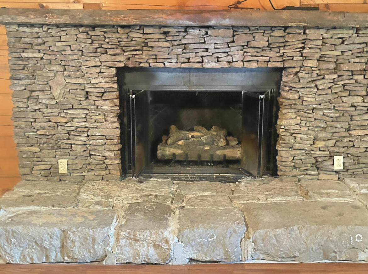 351 Porter Lake Road Spring City, TN 37381 - Photo 4 of 20