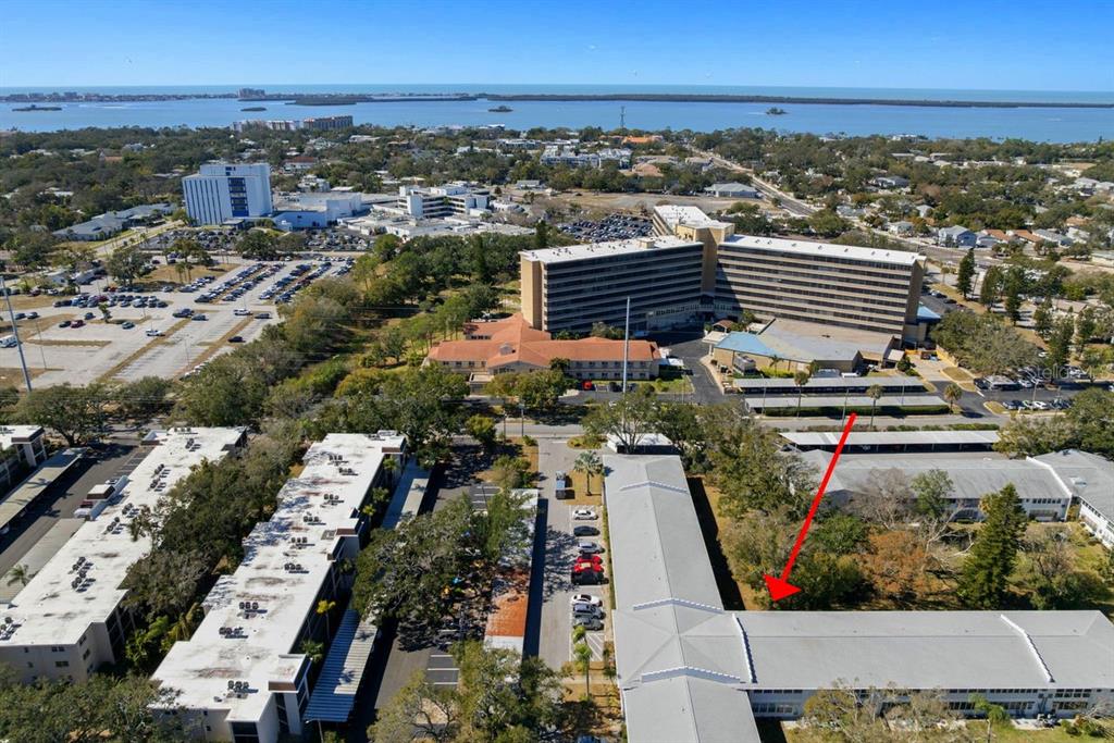 300 Clyde Lane, Unit 215 Dunedin, FL 34698 - Photo 3 of 60 a view of city