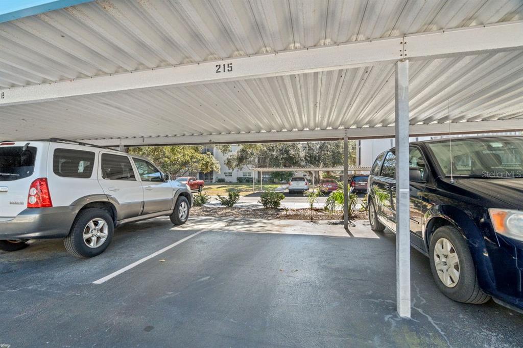 300 Clyde Lane, Unit 215 Dunedin, FL 34698 - Photo 31 of 60