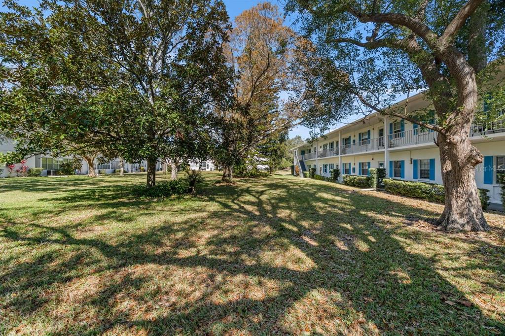 300 Clyde Lane, Unit 215 Dunedin, FL 34698 - Photo 32 of 60 a front view of a house with a yard