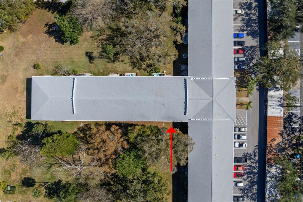 300 Clyde Lane, Unit 215 Dunedin, FL 34698 - Photo 34 of 60