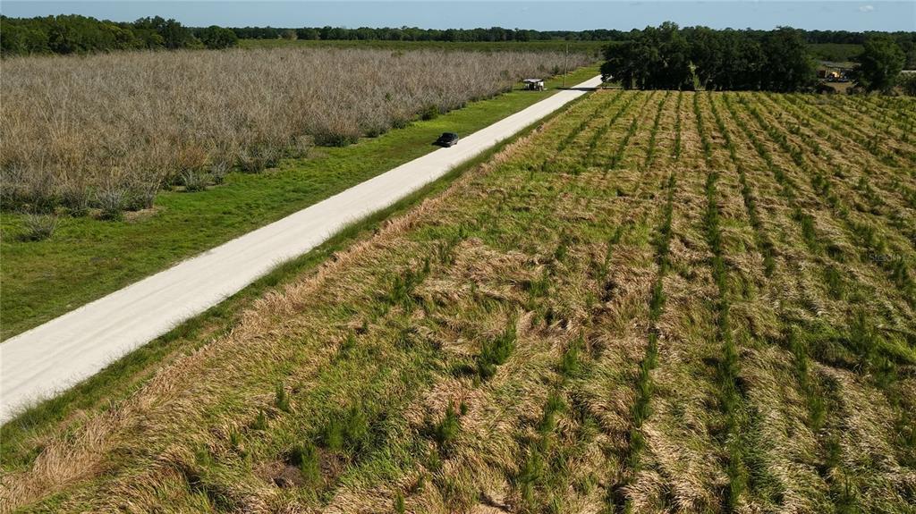 North Barlow Road Wauchula, FL 33873 - Photo 15 of 43