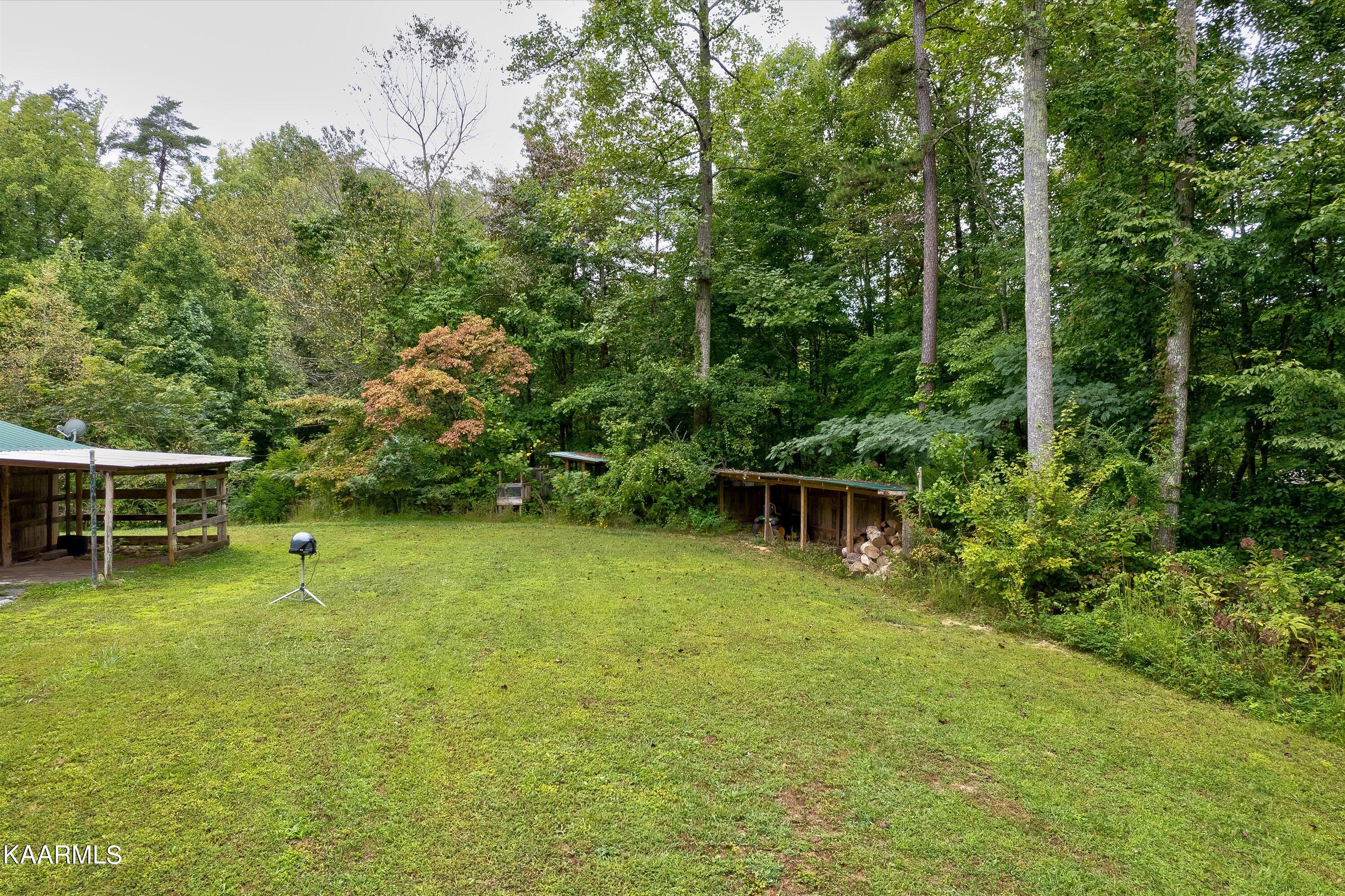 450 Lone Mountain Road Andersonville, TN 37705 - Photo 16 of 30 19-450 Lone Mountain Rd-19