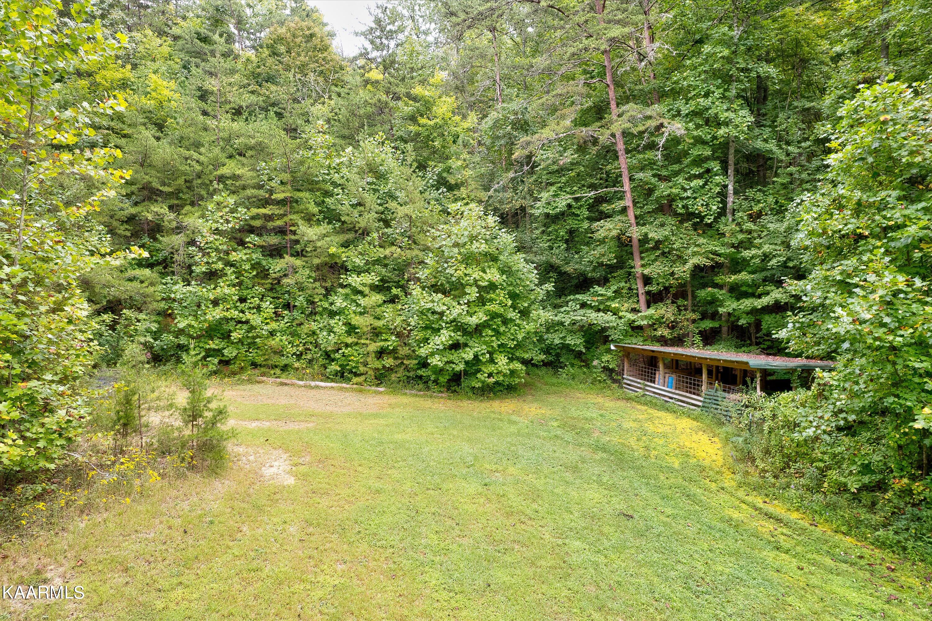 450 Lone Mountain Road Andersonville, TN 37705 - Photo 18 of 30 20-450 Lone Mountain Rd-20