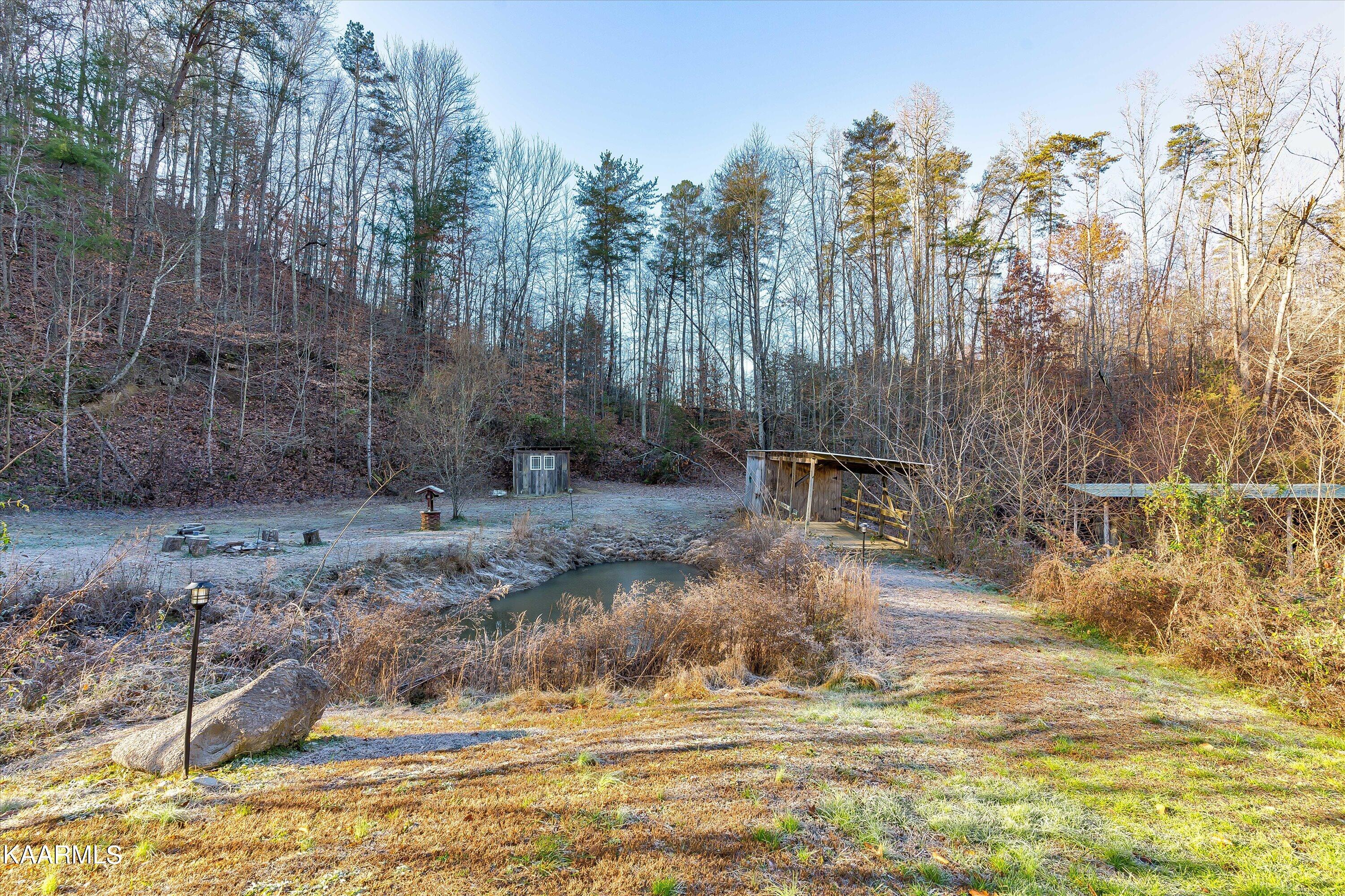450 Lone Mountain Road Andersonville, TN 37705 - Photo 4 of 30 27-450 Lone Mountain Rd-48