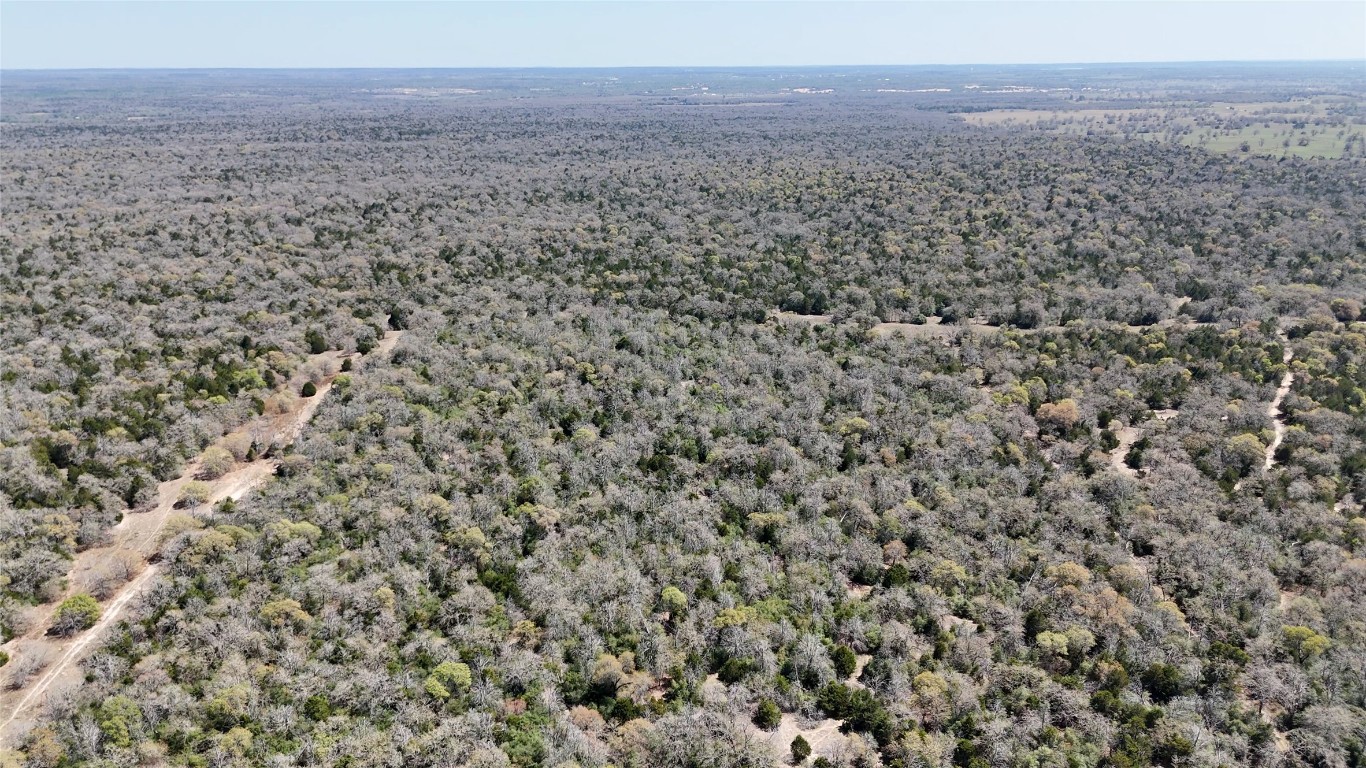 Tbd Wilson Road Elgin, TX 78621 - Photo 4 of 20 a view of a field with an outdoor space