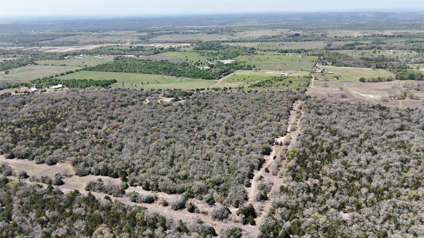 Tbd Wilson Road Elgin, TX 78621 - Photo 8 of 20 an aerial view of a house with a forest