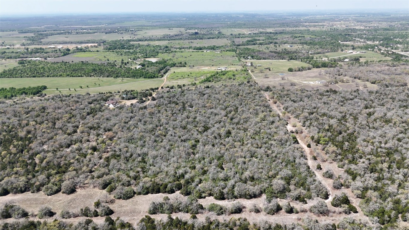 Tbd Wilson Road Elgin, TX 78621 - Photo 9 of 20 a view of a field with trees in the background