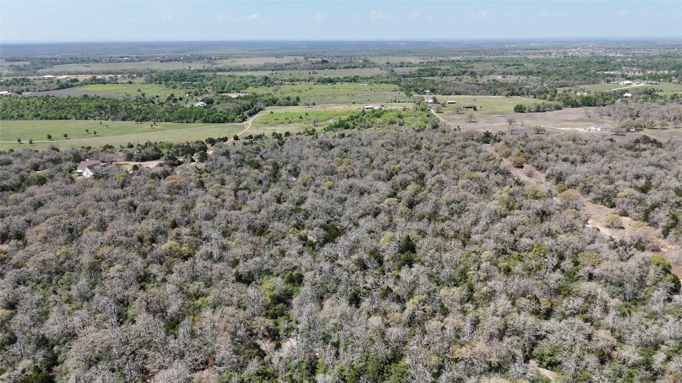 Tbd Wilson Road Elgin, TX 78621 - Photo 10 of 20 a view of a field with trees in the background