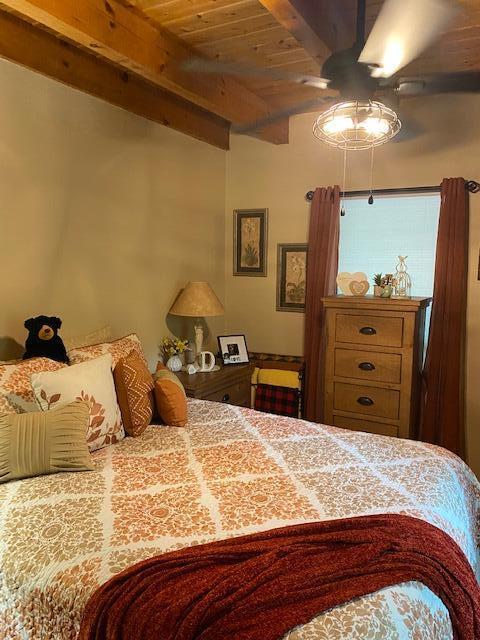 212 Cutter Gap Road Townsend, TN 37882 - Photo 3 of 34 Master Bedroom