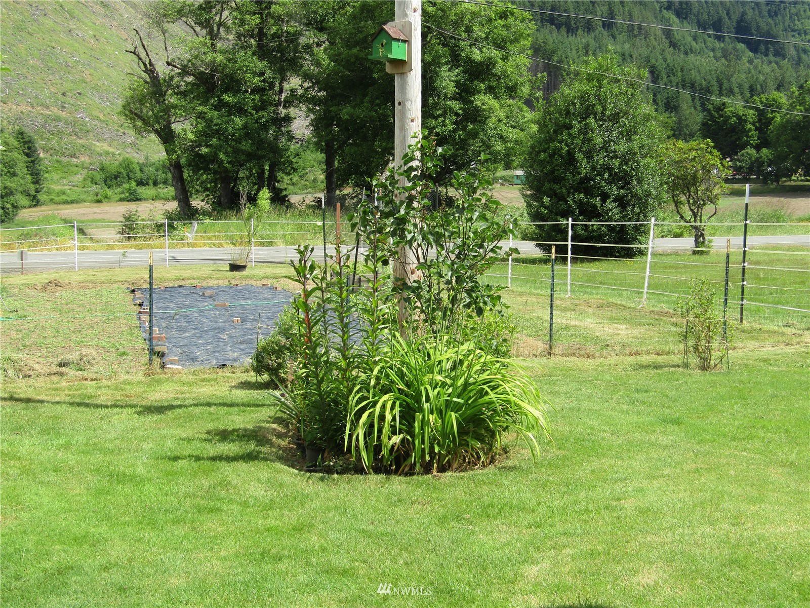 142 Aberdeen Road Morton, WA 98356 - Photo 12 of 40 Gallery Image 12