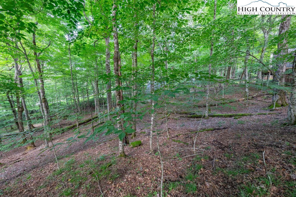 907 Charter Hills Road Beech Mountain, NC 28604 - Photo 1 of 17