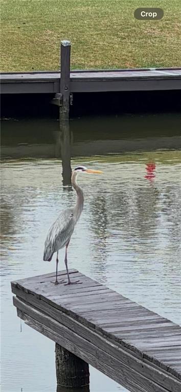 350 Atalin Street, Unit 10A Mandeville, LA 70448 - Photo 7 of 10