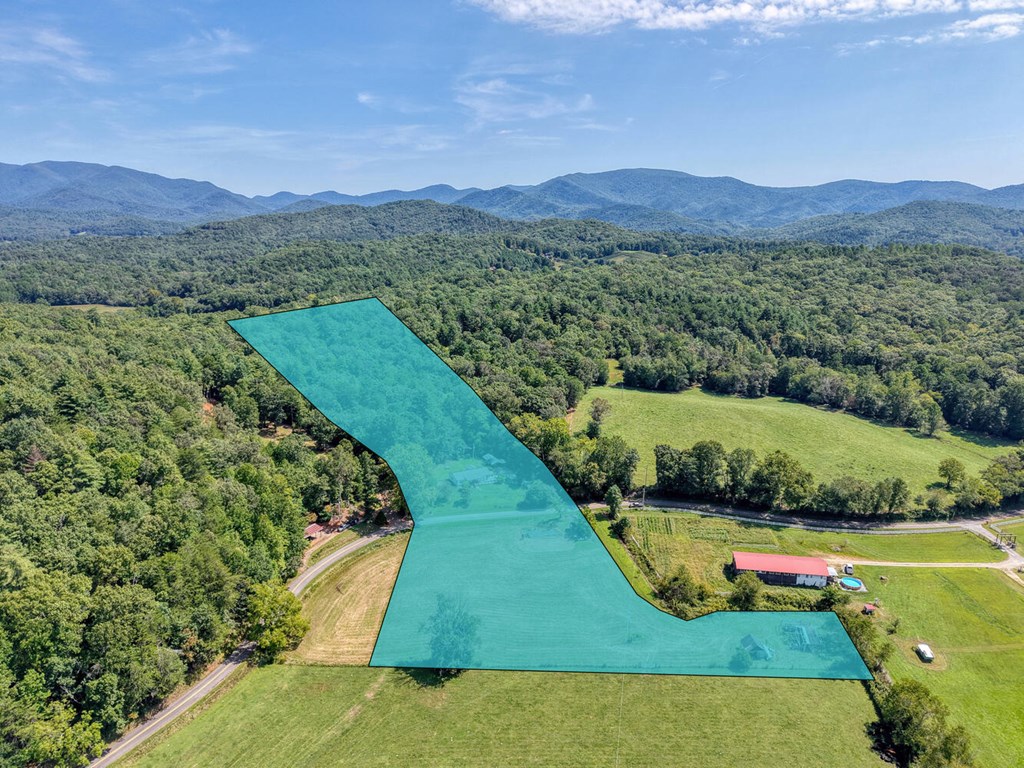 729 Collins Road Blairsville, GA 30512 - Photo 8 of 74