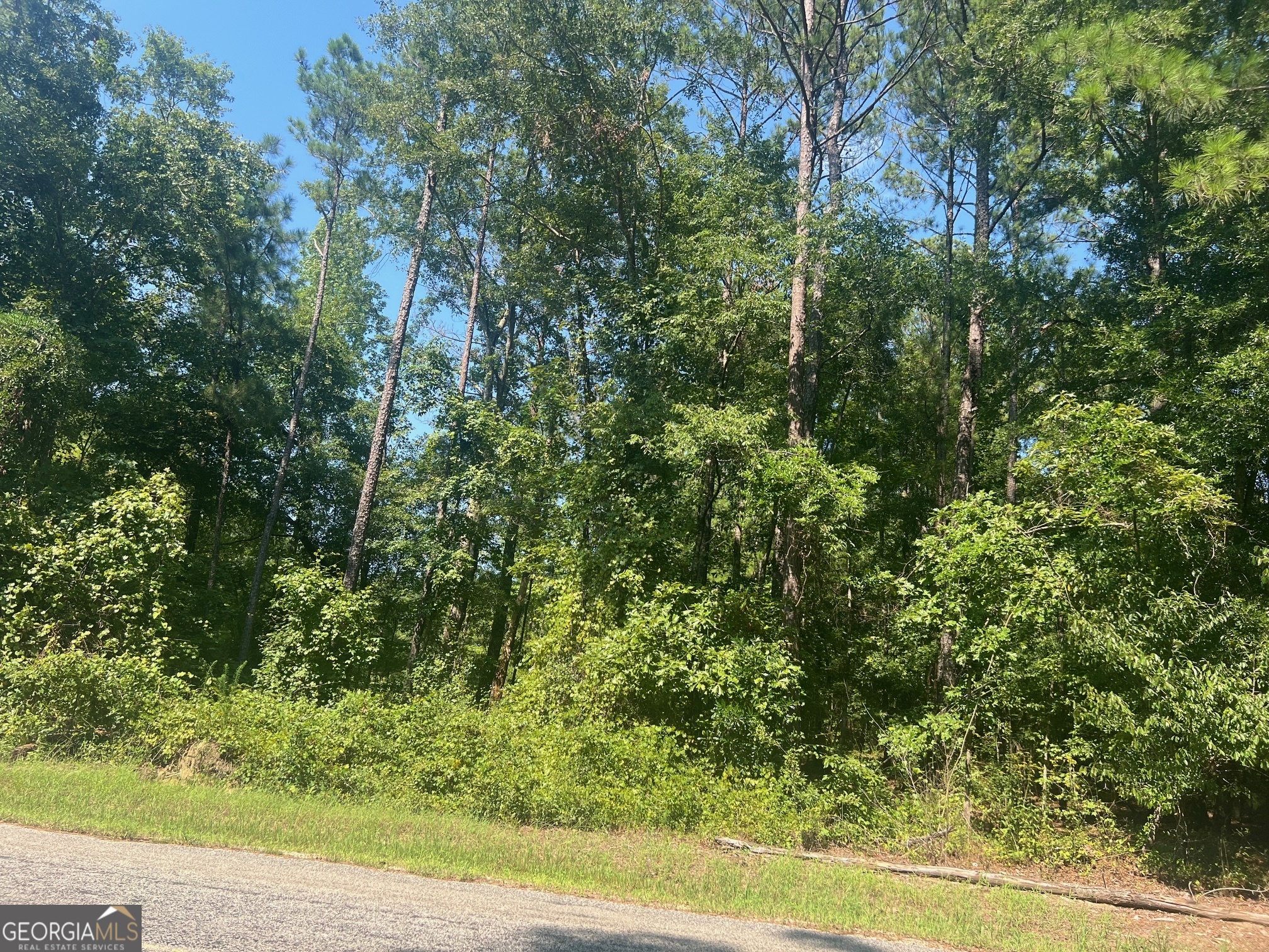 203 Pebble Cove Road Abbeville, AL 36310 - Photo 2 of 6