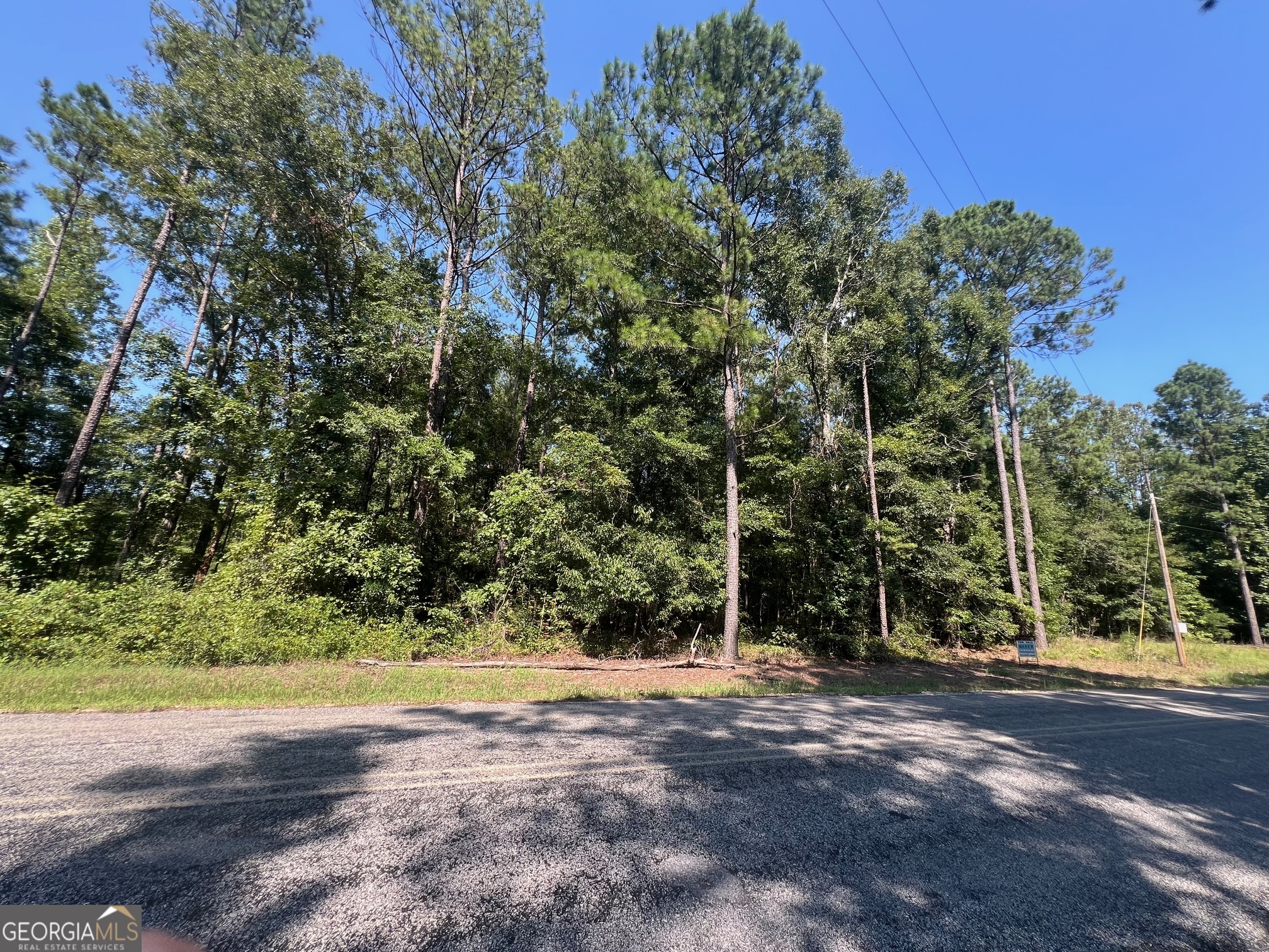 203 Pebble Cove Road Abbeville, AL 36310 - Photo 3 of 6