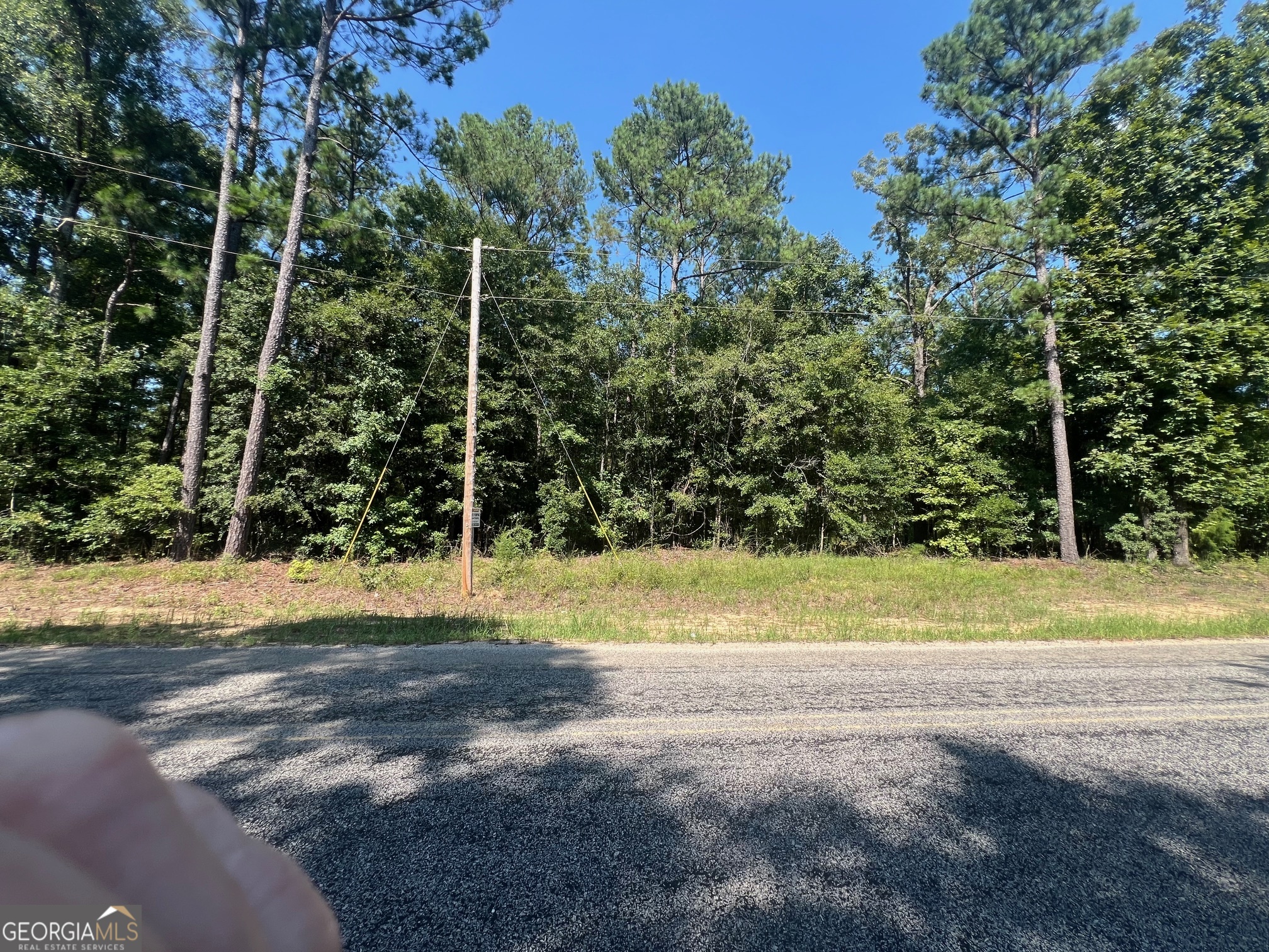 203 Pebble Cove Road Abbeville, AL 36310 - Photo 4 of 6