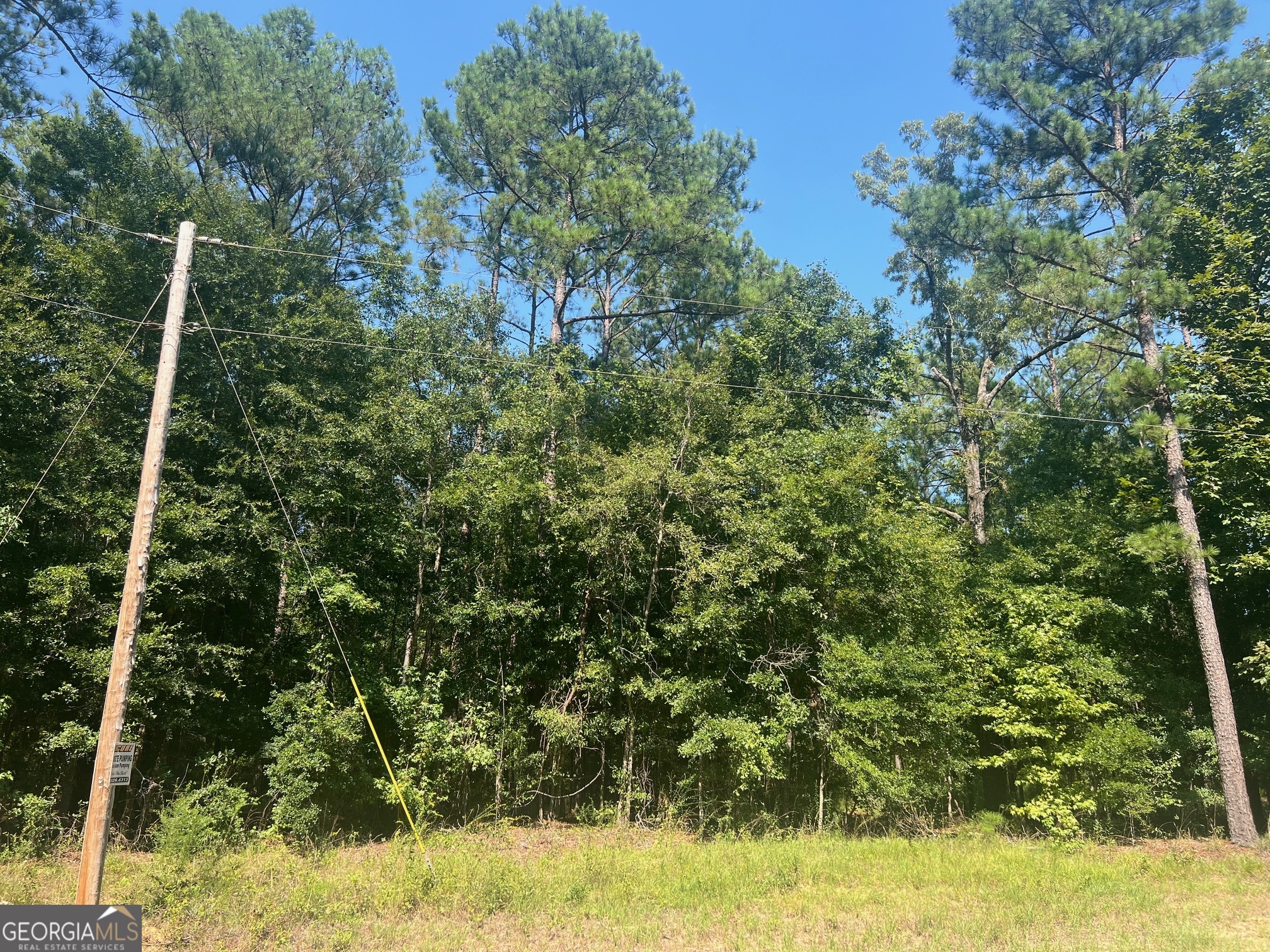 203 Pebble Cove Road Abbeville, AL 36310 - Photo 6 of 6