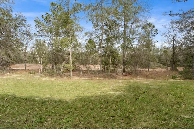 a view of outdoor space with trees