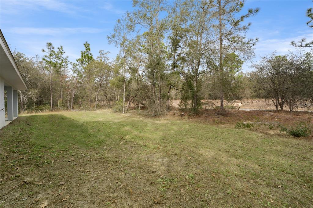 9461 North Sandree Drive Citrus Springs, FL 34434 - Photo 43 of 50 a view of outdoor space with trees all around