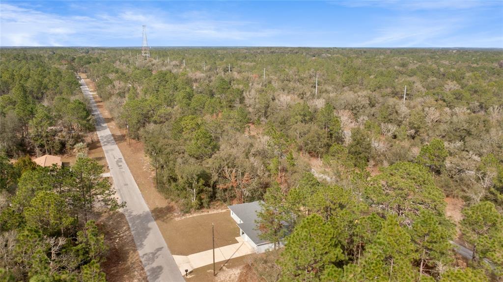 9461 North Sandree Drive Citrus Springs, FL 34434 - Photo 48 of 50 a view of a lake view