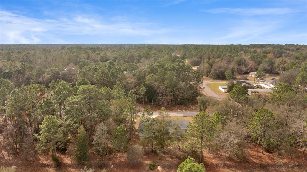 9461 North Sandree Drive Citrus Springs, FL 34434 - Photo 49 of 50 a view of city and mountain