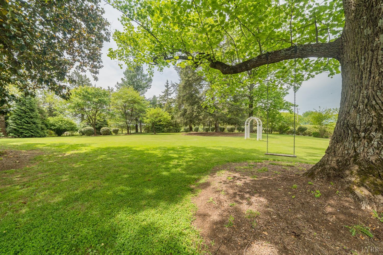 7821 Bellevue Road Goode, VA 24556 - Photo 20 of 78 a view of a park with large trees