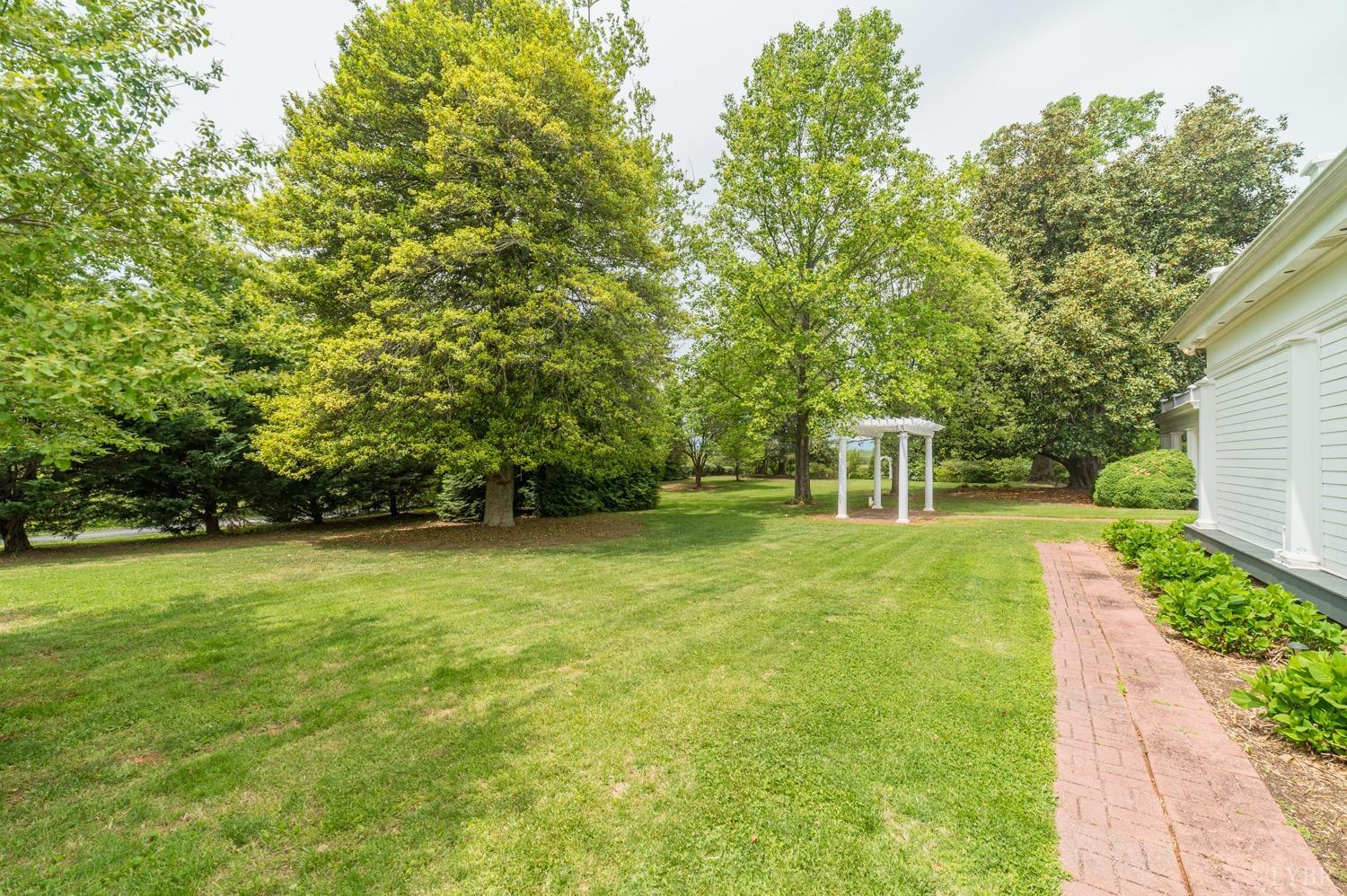 7821 Bellevue Road Goode, VA 24556 - Photo 29 of 78 a view of a trees with a yard
