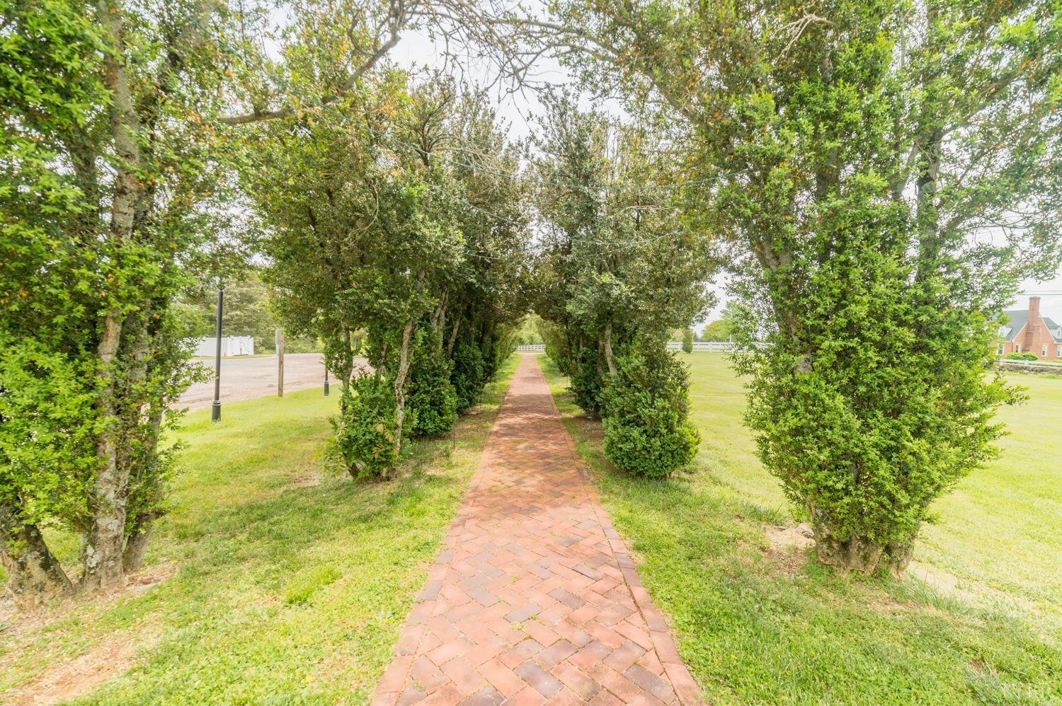 7821 Bellevue Road Goode, VA 24556 - Photo 30 of 78 a view of a pathway both side of yard