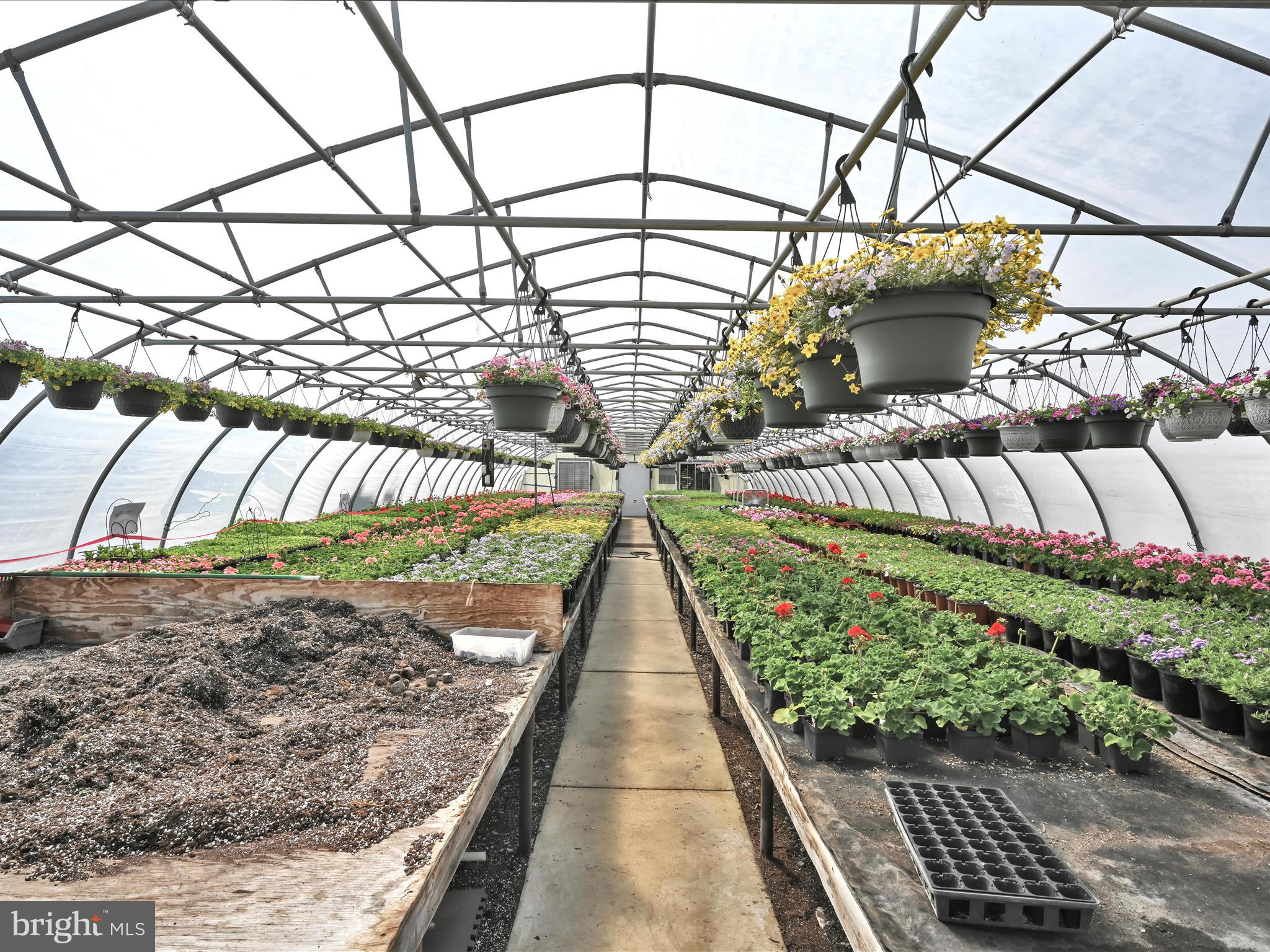 545 Zinns Mill Road Lebanon, PA 17042 - Photo 19 of 68 greenhouses
