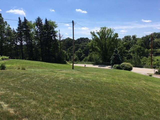 135 Economy Grade Road Coraopolis, PA 15108 - Photo 12 of 21 Front Yard