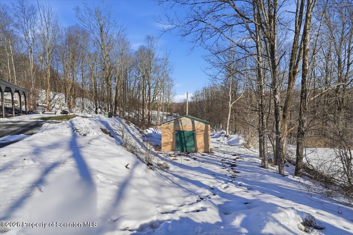 44 Franks Old Road Pleasant Mount, PA 18453 - Photo 38 of 49 extra storage shed