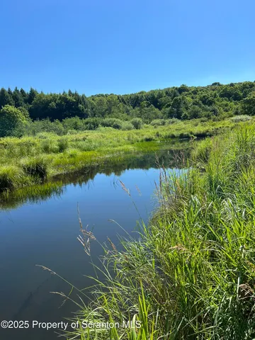 $439,999 | 44 Franks Old Road, Pleasant Mount, PA 18453