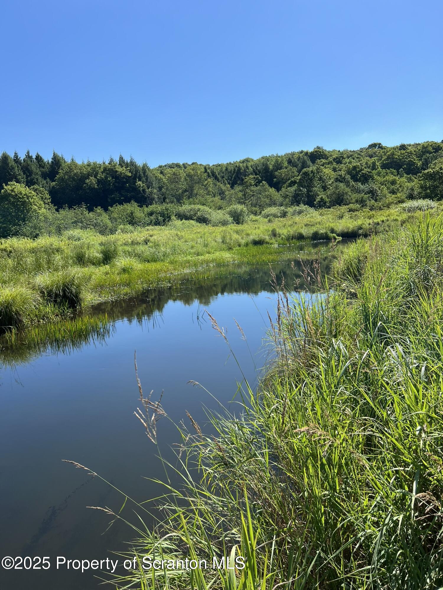 44 Franks Old Road Pleasant Mount, PA 18453 - Photo 44 of 49 a view of a lake with a yard