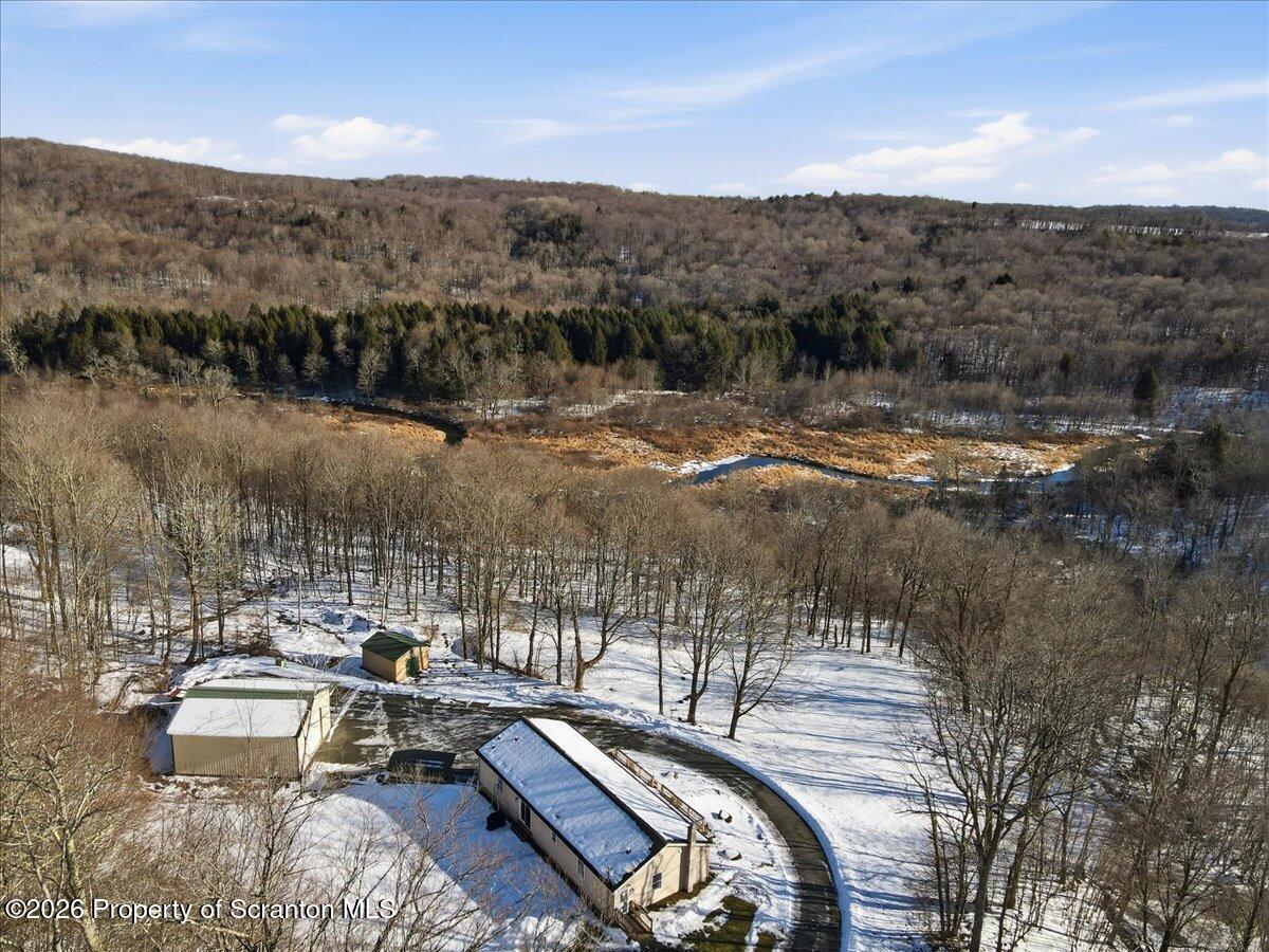 44 Franks Old Road Pleasant Mount, PA 18453 - Photo 5 of 49