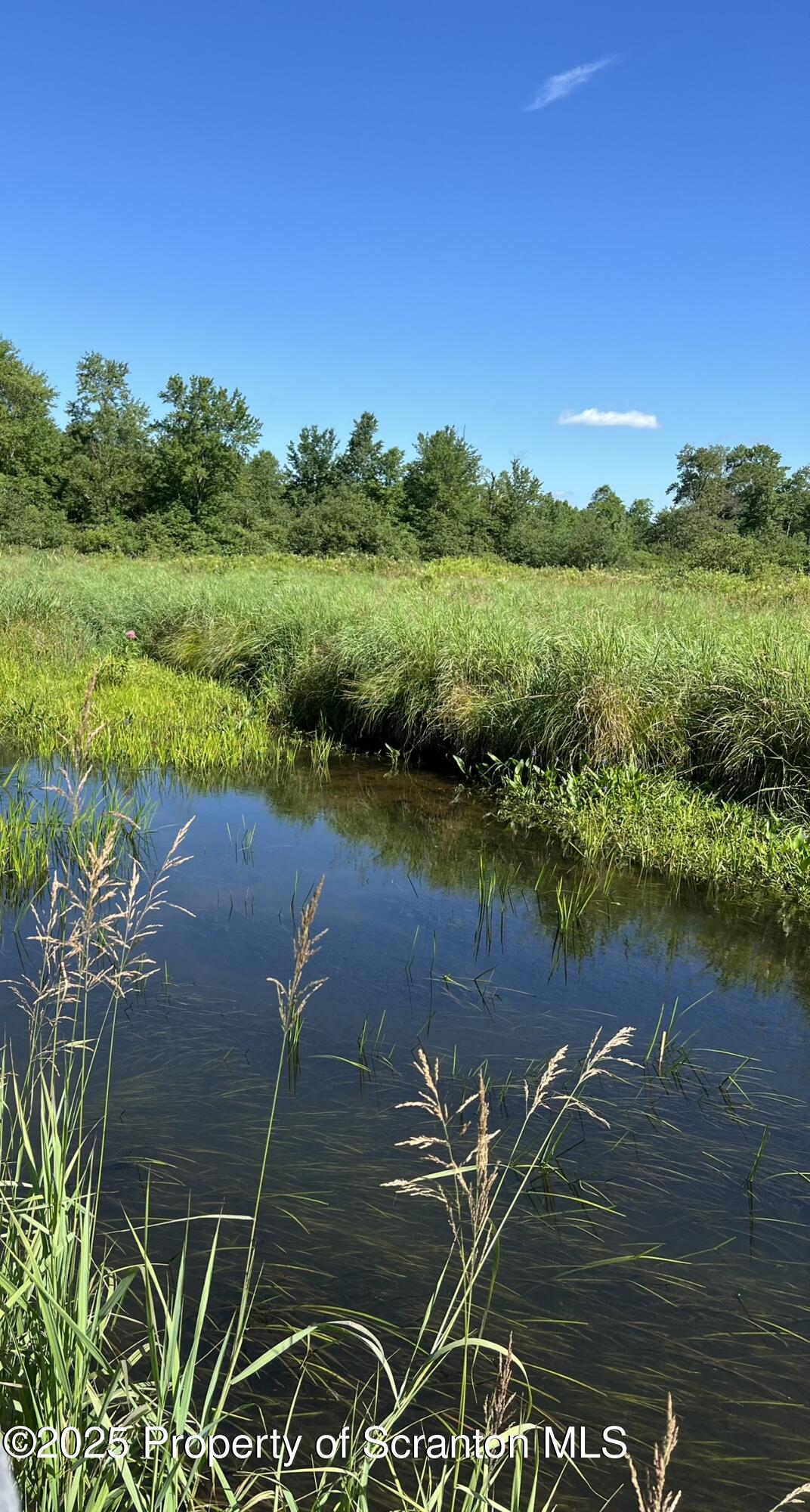 44 Franks Old Road Pleasant Mount, PA 18453 - Photo 6 of 37 a view of a lake with a big yard