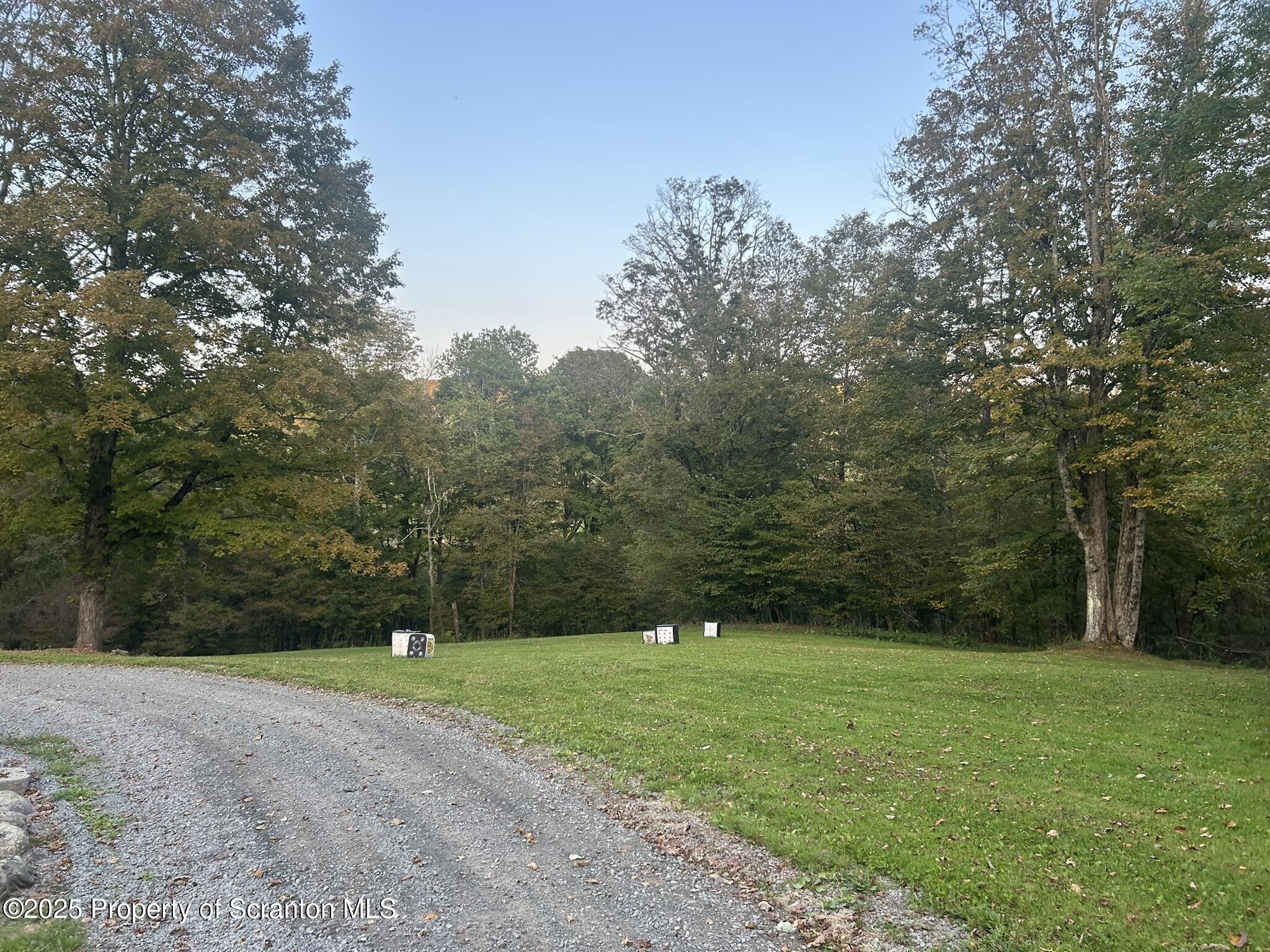 44 Franks Old Road Pleasant Mount, PA 18453 - Photo 8 of 37 a view of a park
