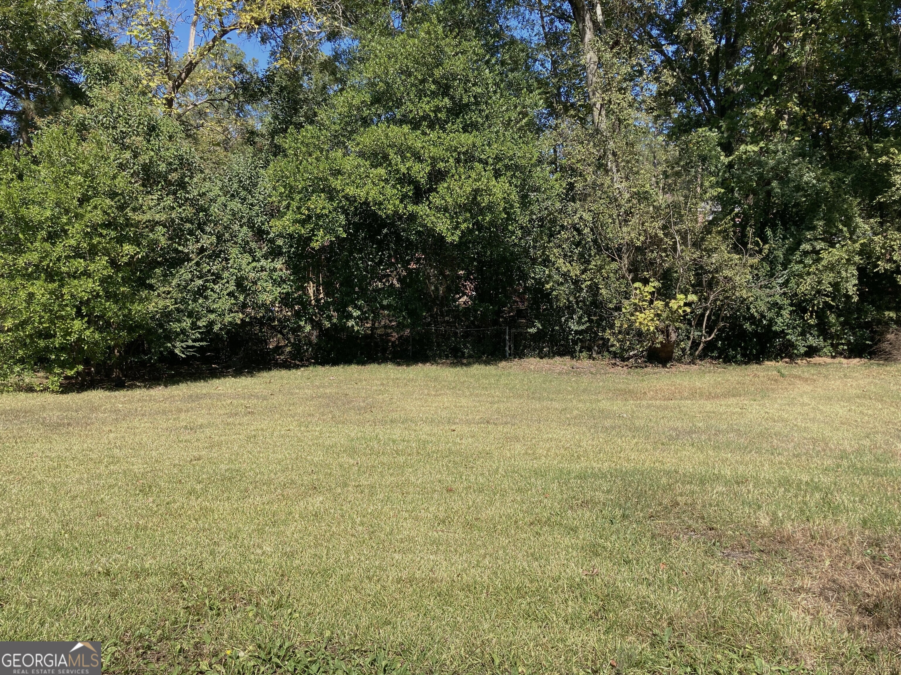 3589 Irwin Way Columbus, GA 31906 - Photo 23 of 25 a view of yard with large trees