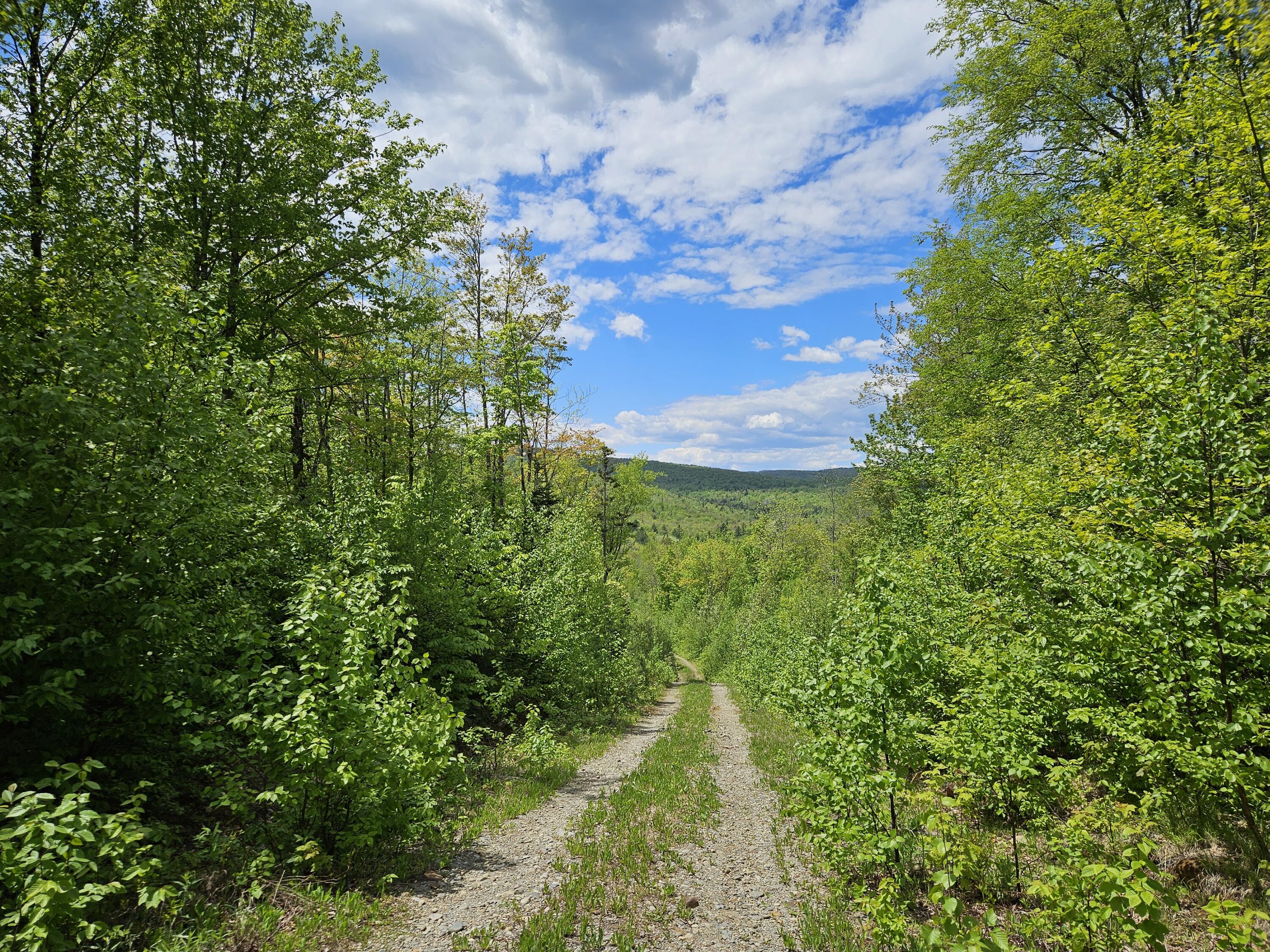 2 Mud Pond Road Madrid Township, ME 04966 - Photo 20 of 42 Madrid Lot
