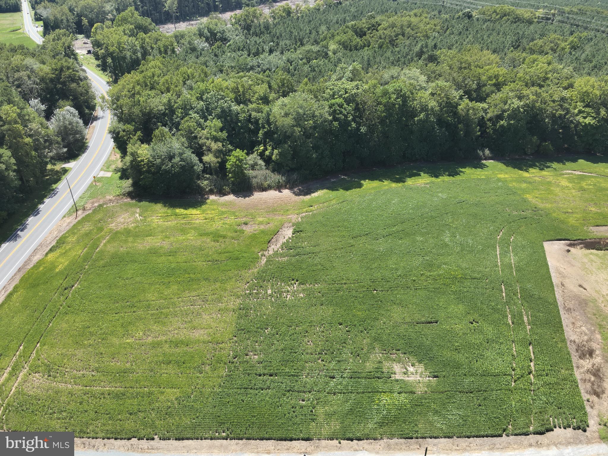 12 Rt Snow Hill Girdletree, MD 21829 - Photo 11 of 33 a view of a yard