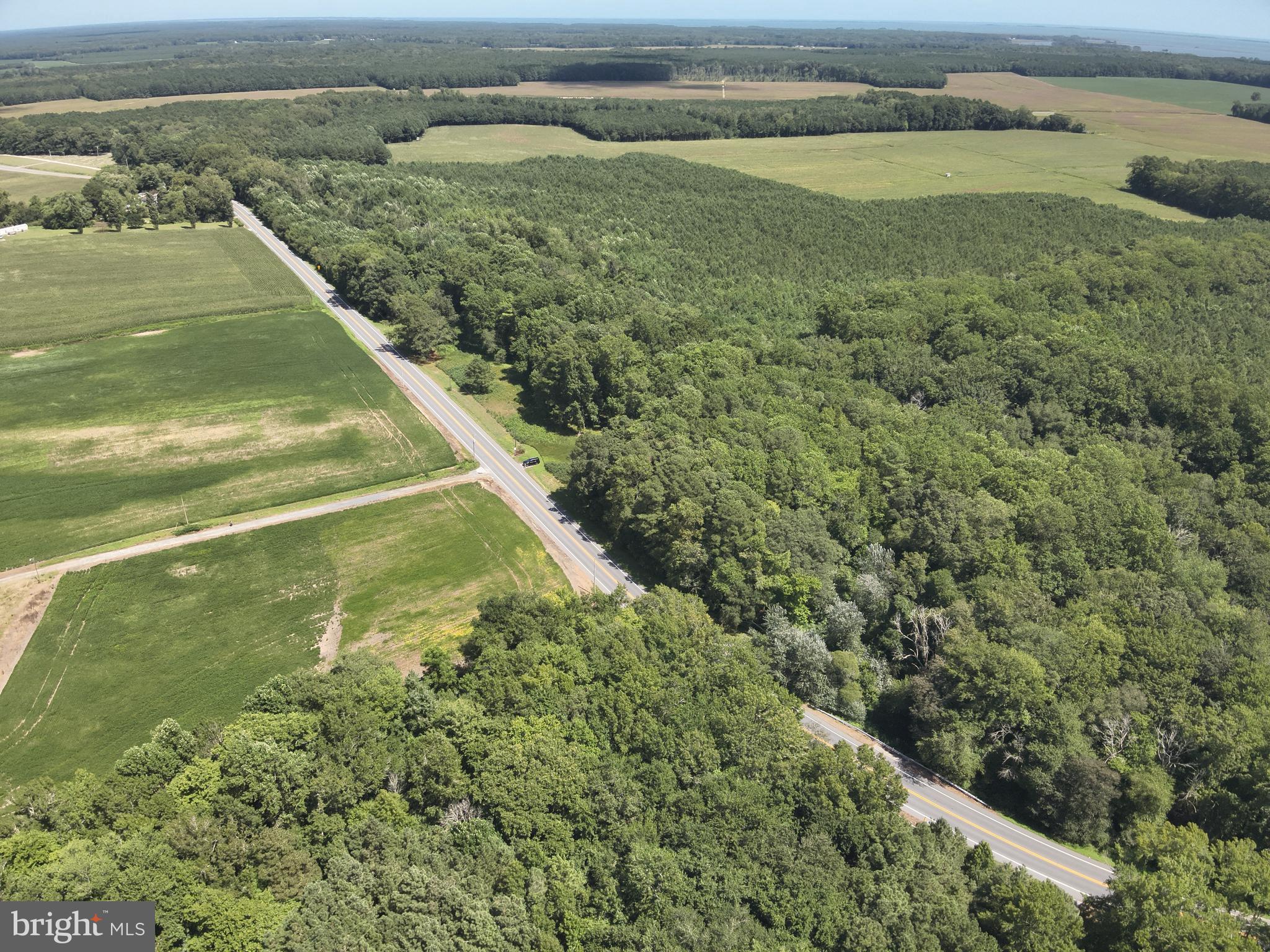 12 Rt Snow Hill Girdletree, MD 21829 - Photo 19 of 33 a view of a field with an ocean view