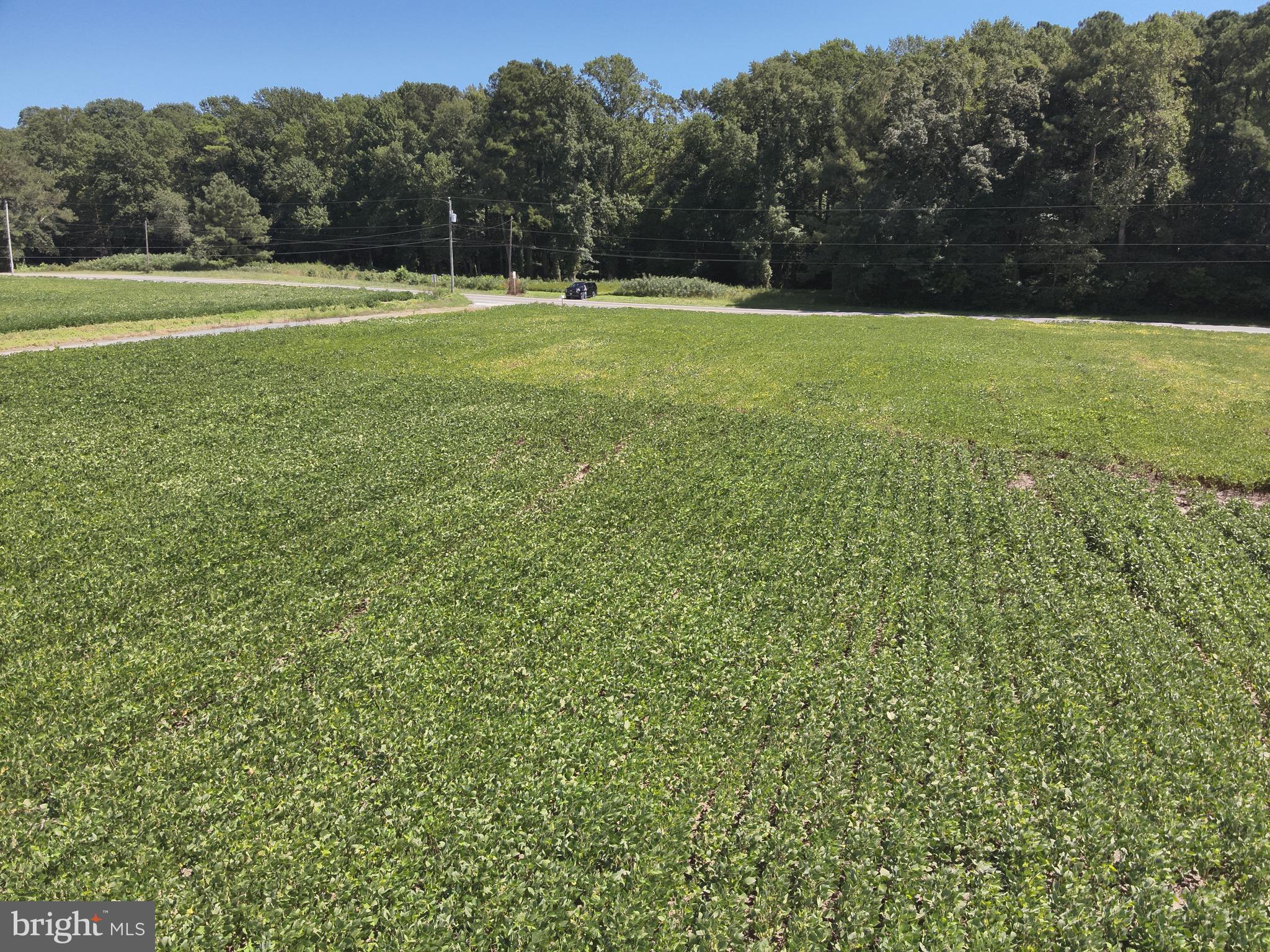 12 Rt Snow Hill Girdletree, MD 21829 - Photo 2 of 33 a view of a green yard