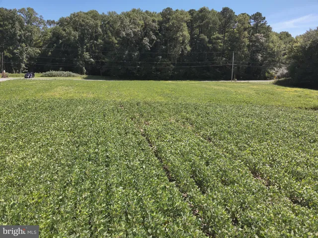 $114,500 | 12 Rt Snow Hill, Girdletree, MD 21829