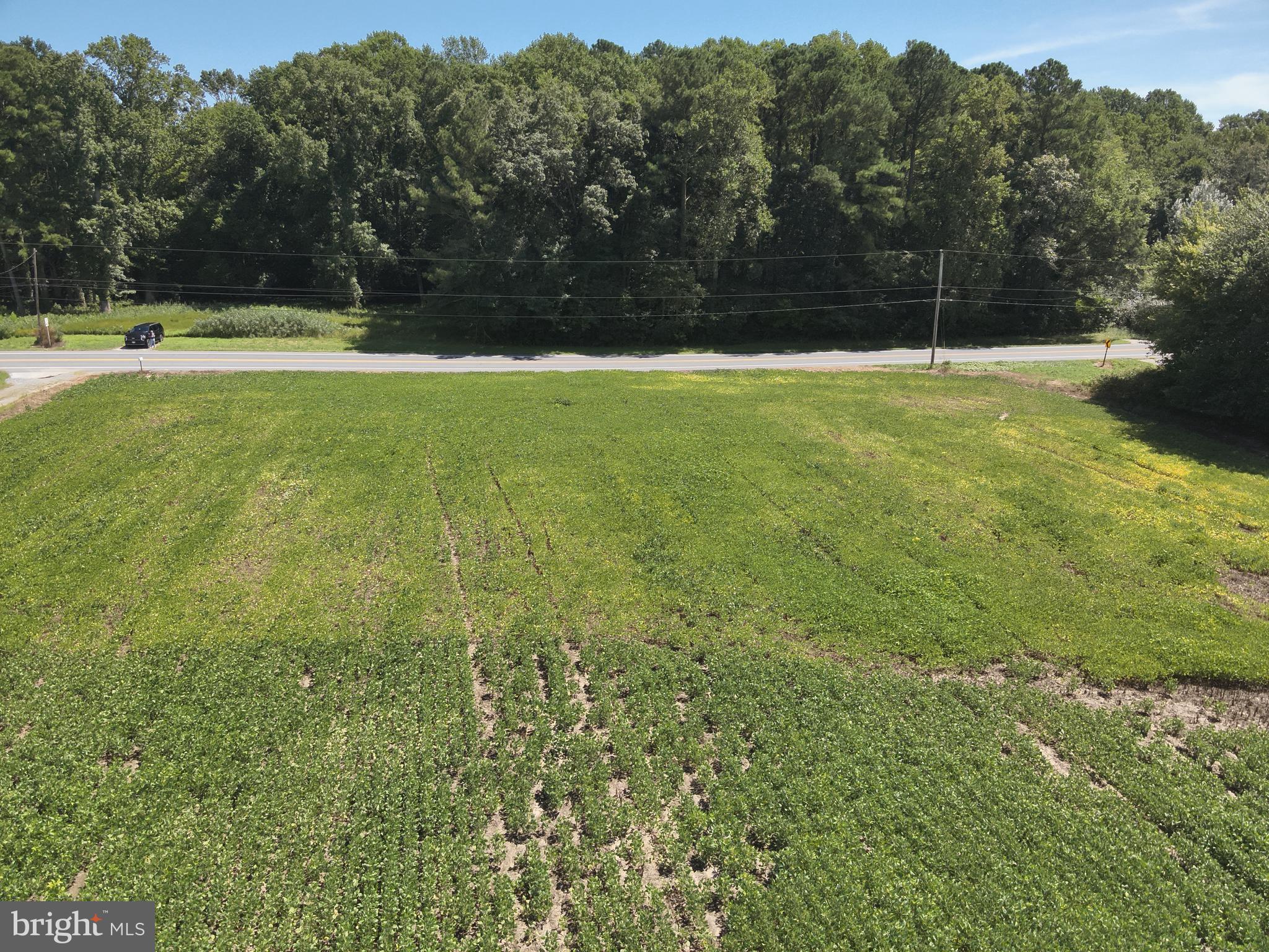 12 Rt Snow Hill Girdletree, MD 21829 - Photo 26 of 33 a view of a field with trees in the background