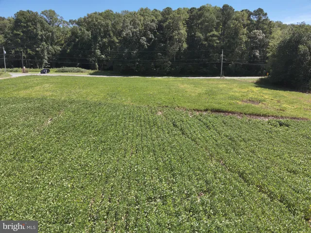 $114,500 | 12 Rt Snow Hill, Girdletree, MD 21829