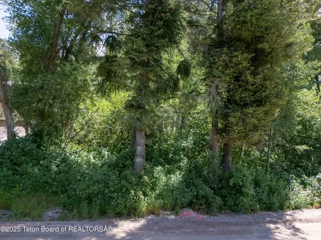 $74,000 | 43 Cedar Drive, Star Valley Ranch, WY 83127