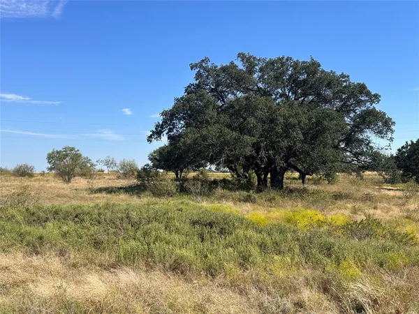 $149,999 | Tbd Lot 24 Tbd Drive, Gustine, TX 76455