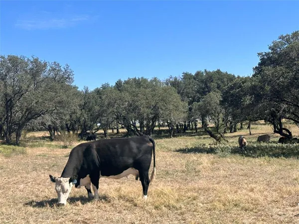 $149,999 | Tbd Lot 24 Tbd Drive, Gustine, TX 76455