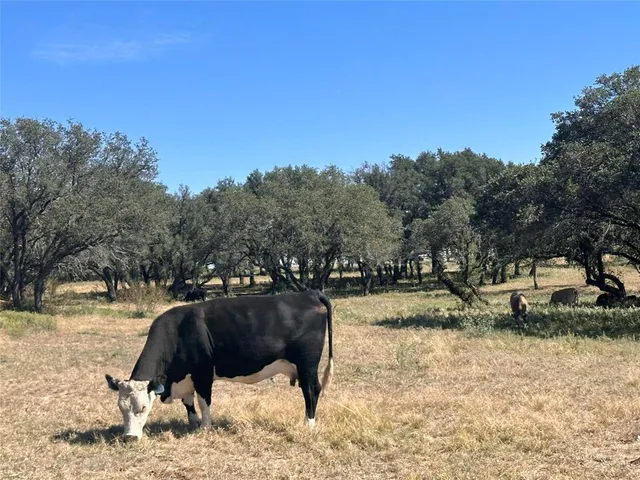 $149,999 | Tbd Lot 24 Tbd Drive, Gustine, TX 76455